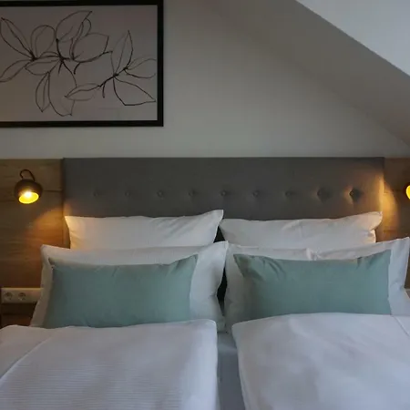 Diesonne Konukevi 4*
