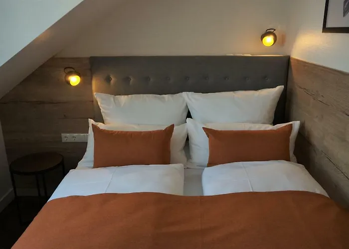 招待所 Diesonne 4*